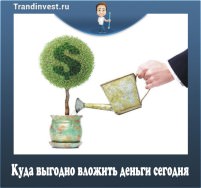 kakoj-vybrat-pamm-schet