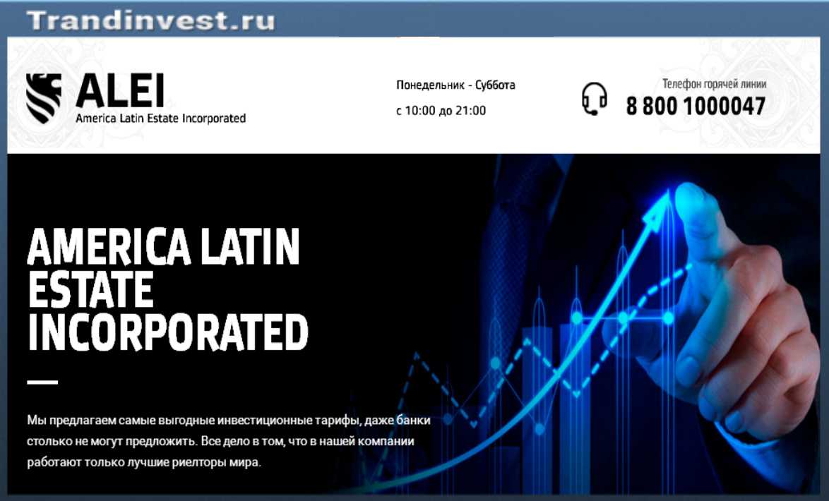 amleinc отзывы