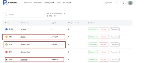 Binaryx пополнение счета